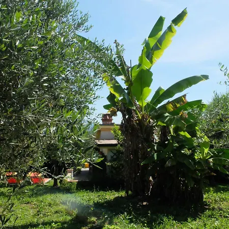 בית נופש Casa Il Banano מסרוסה