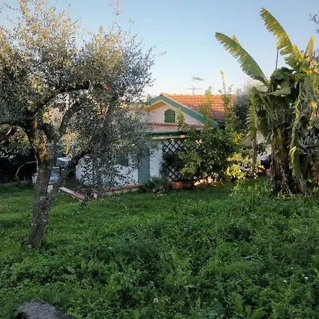 Casa Il Banano Massarosa