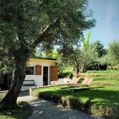 Casa Il Banano Massarosa